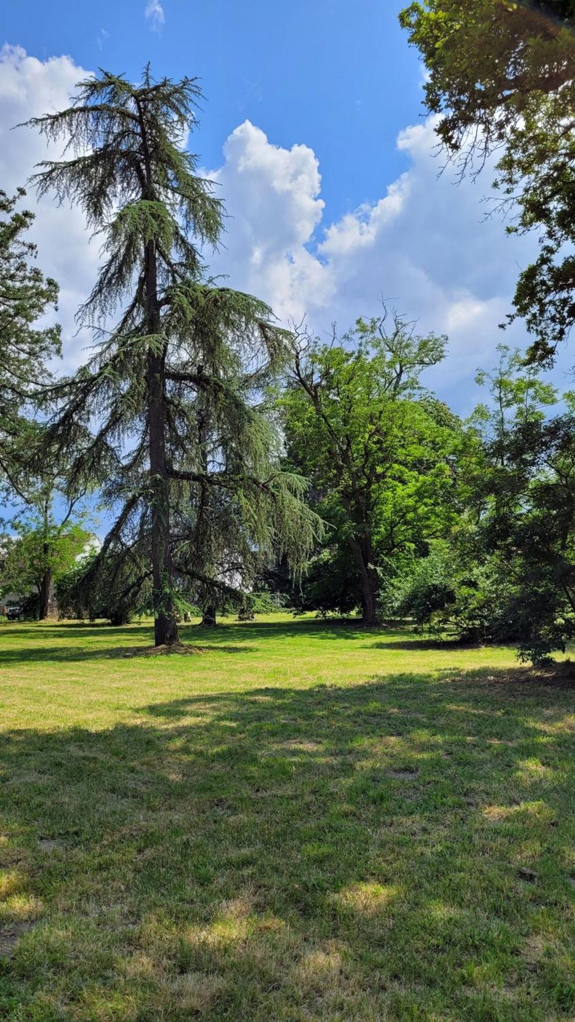 Villa Saint Pierre La Trimouille Luaran gambar